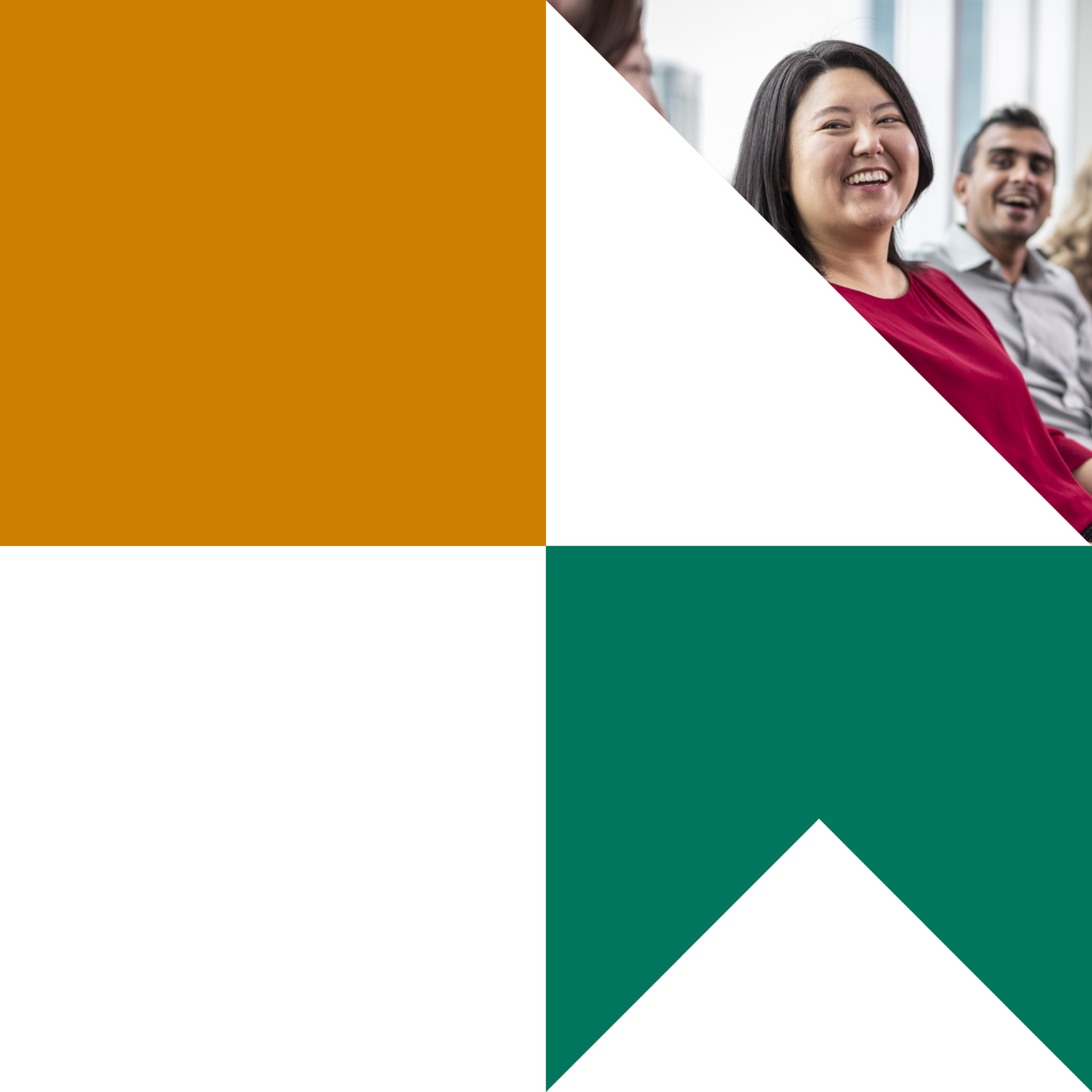 NZS564 Careers section new graphics diversity 503x503px