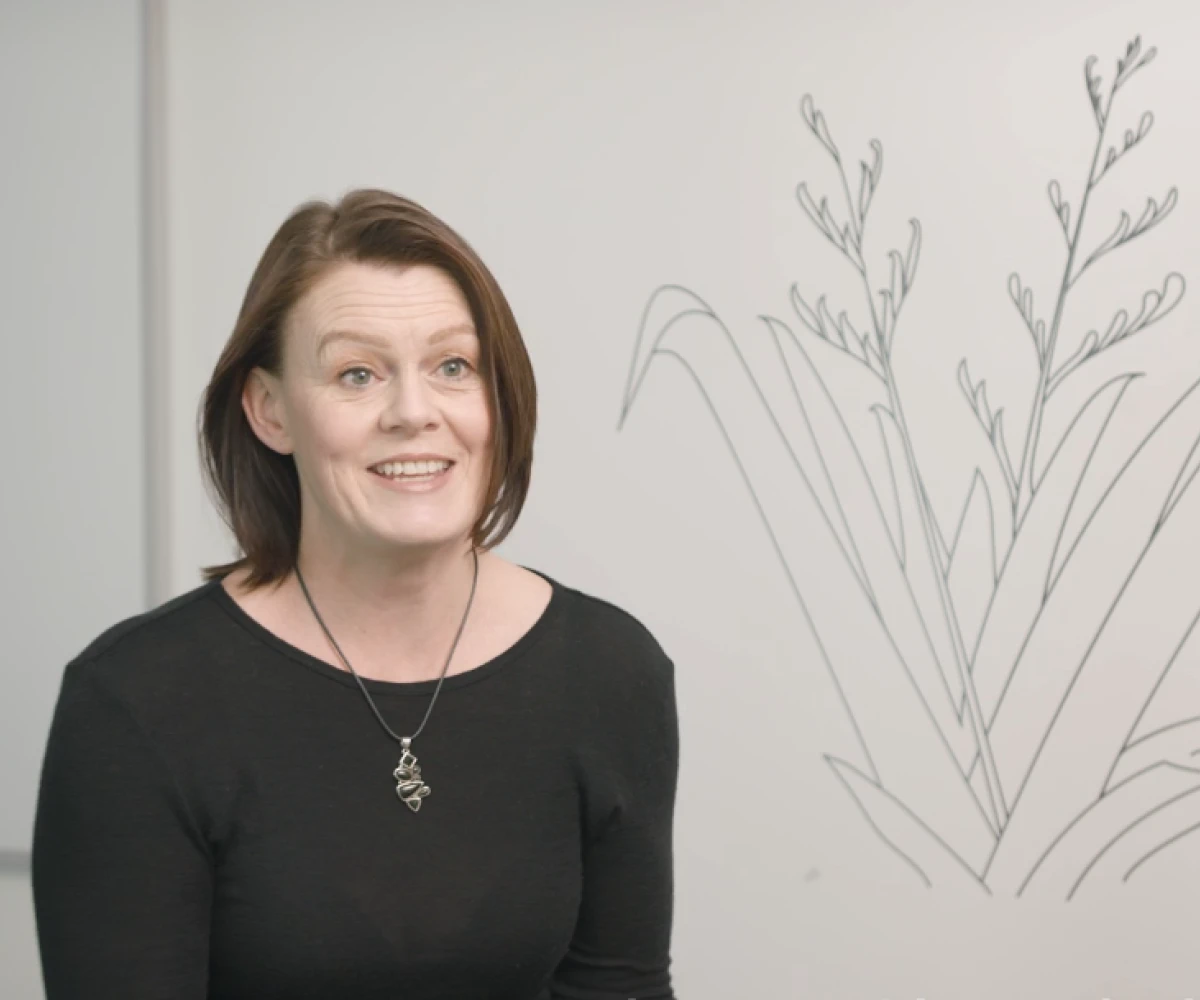 careers video sc